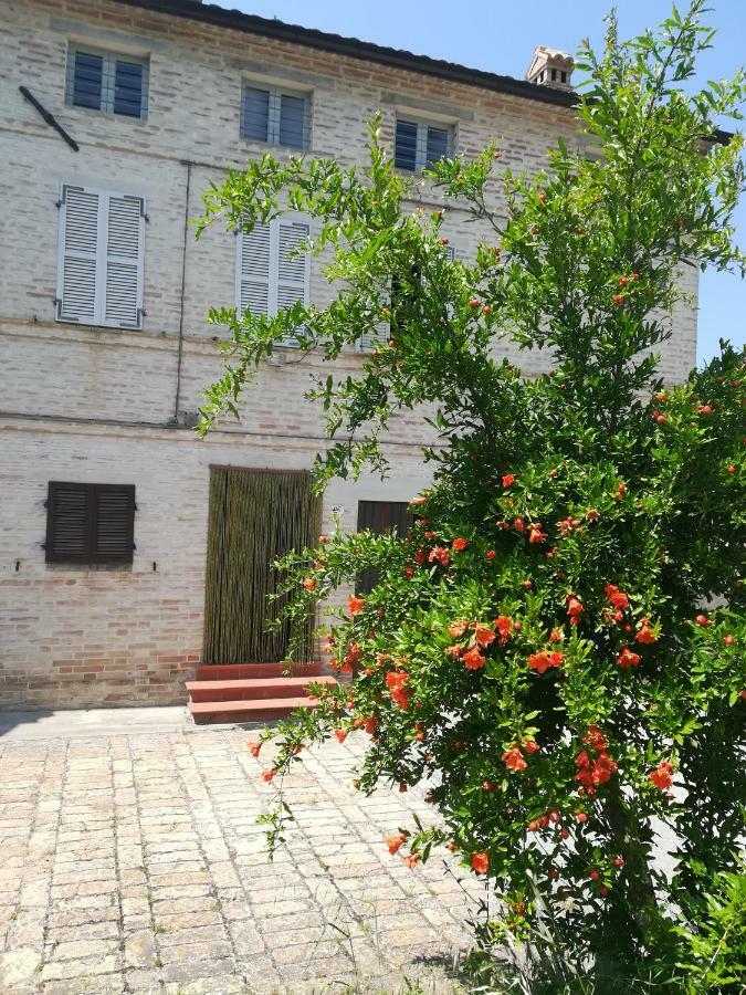 Casa Vacanze Da Peppa Grottazzolina Екстер'єр фото