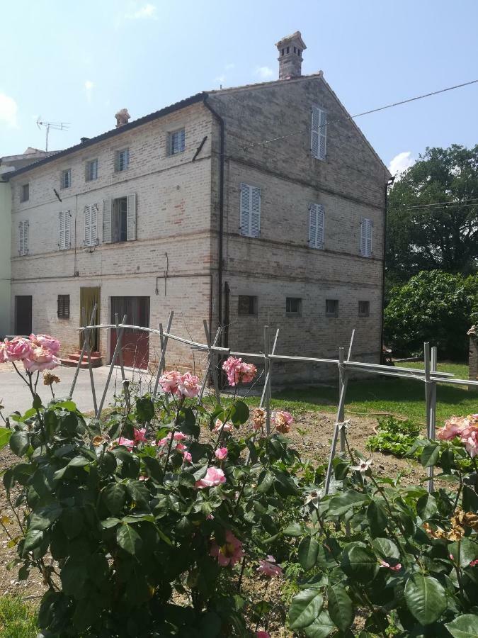 Casa Vacanze Da Peppa Grottazzolina Екстер'єр фото